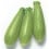 Graine de Courgette Brillante F1 (hybride) (1.000 graine)