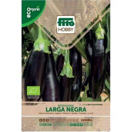 Semilla berenjena larga negra (ecológica)