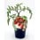 Plantel tomate cherry garden berry natural (maceta 10,5 cm Ø)