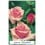 Rosal Grandiflora en sachet, coloris au choix