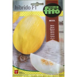 Semilla Melón Mesol F1 (híbrida)