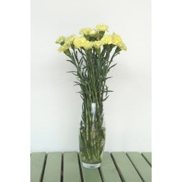 Bouquet de Cravo Amarelo