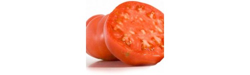 Semillas tomate tradicional vasco