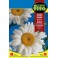 Graines de type marguerite